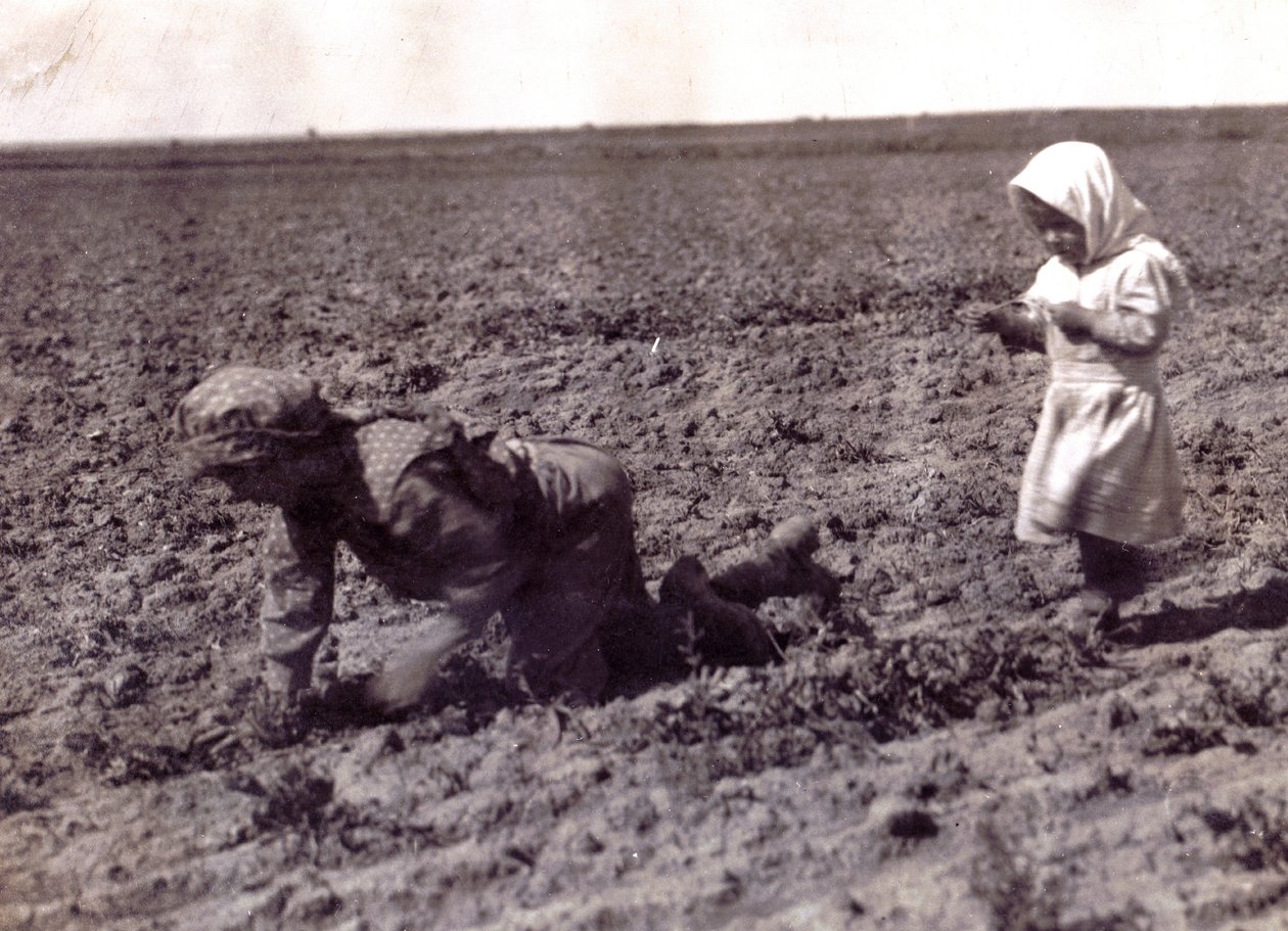 Onbekend schilderij door Lewis Wickes Hine