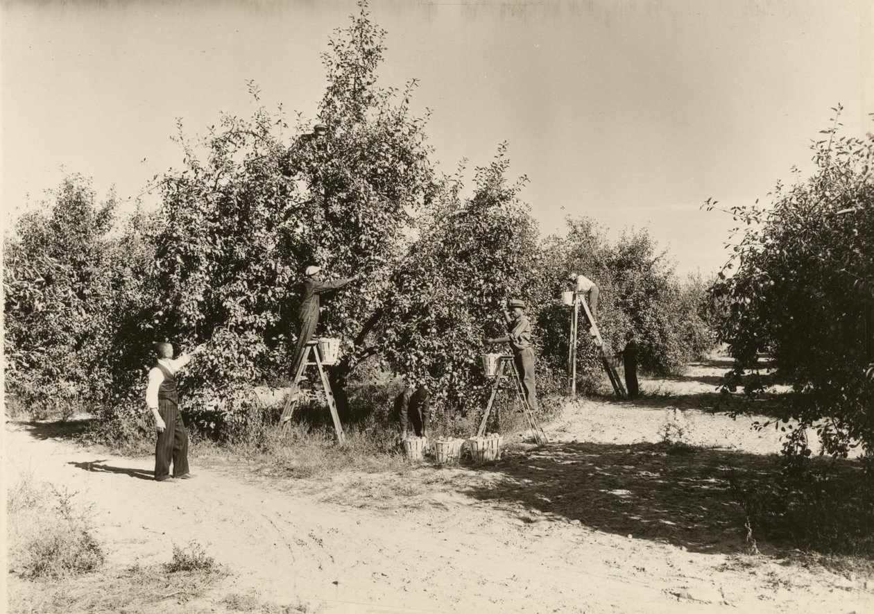 Zonder titel, ca. 1935 door Lewis Wickes Hine