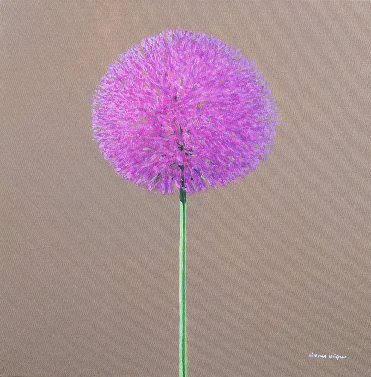 Alium door Lincoln Seligman