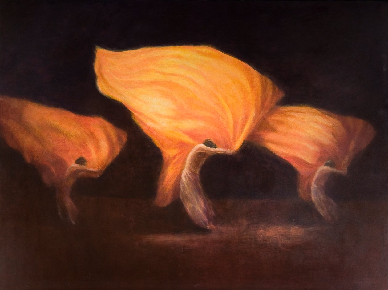 Chinese dansers, 2010 door Lincoln Seligman