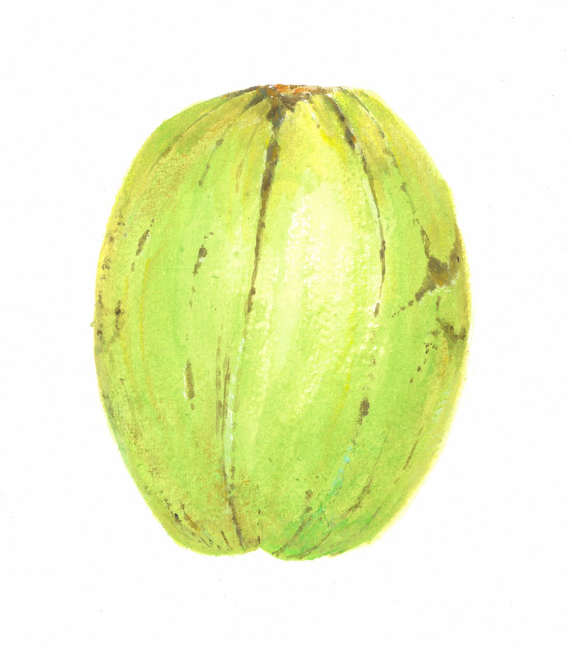 Kokosnoot, Sri Lanka, 2015 door Lincoln Seligman