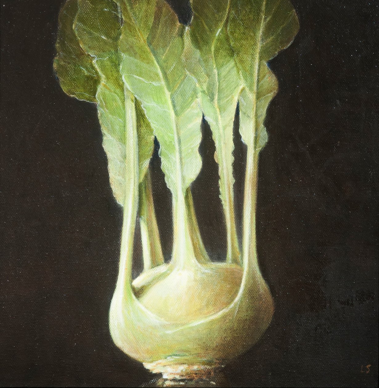 Kohl Rabi door Lincoln Seligman