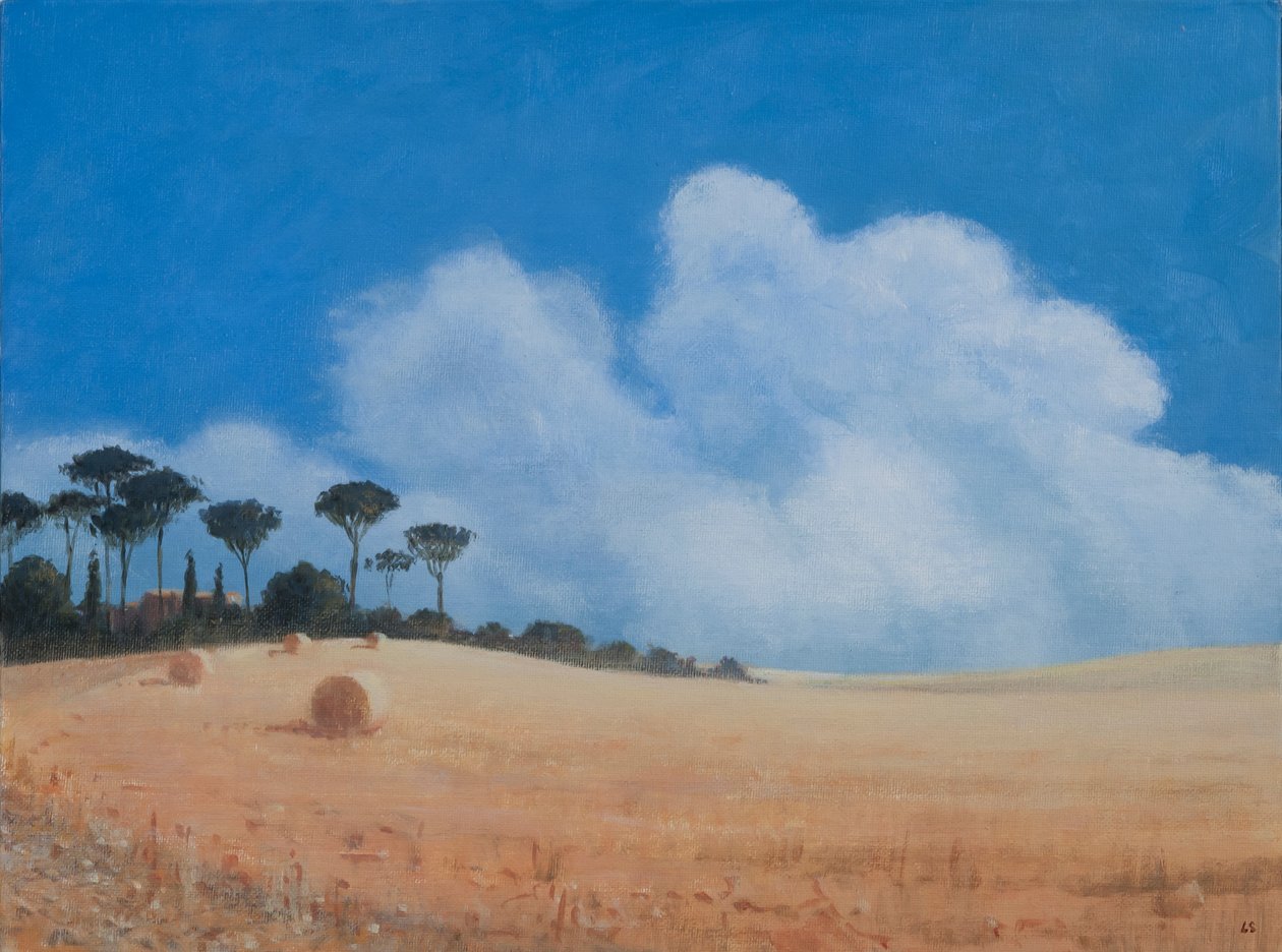 Landschap bij Paganico, 2012 door Lincoln Seligman