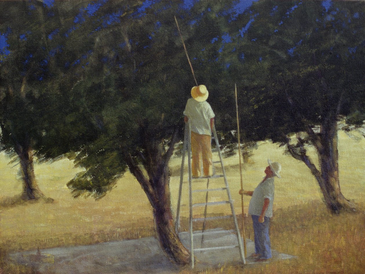 Olijvenplukkers, 1985 door Lincoln Seligman
