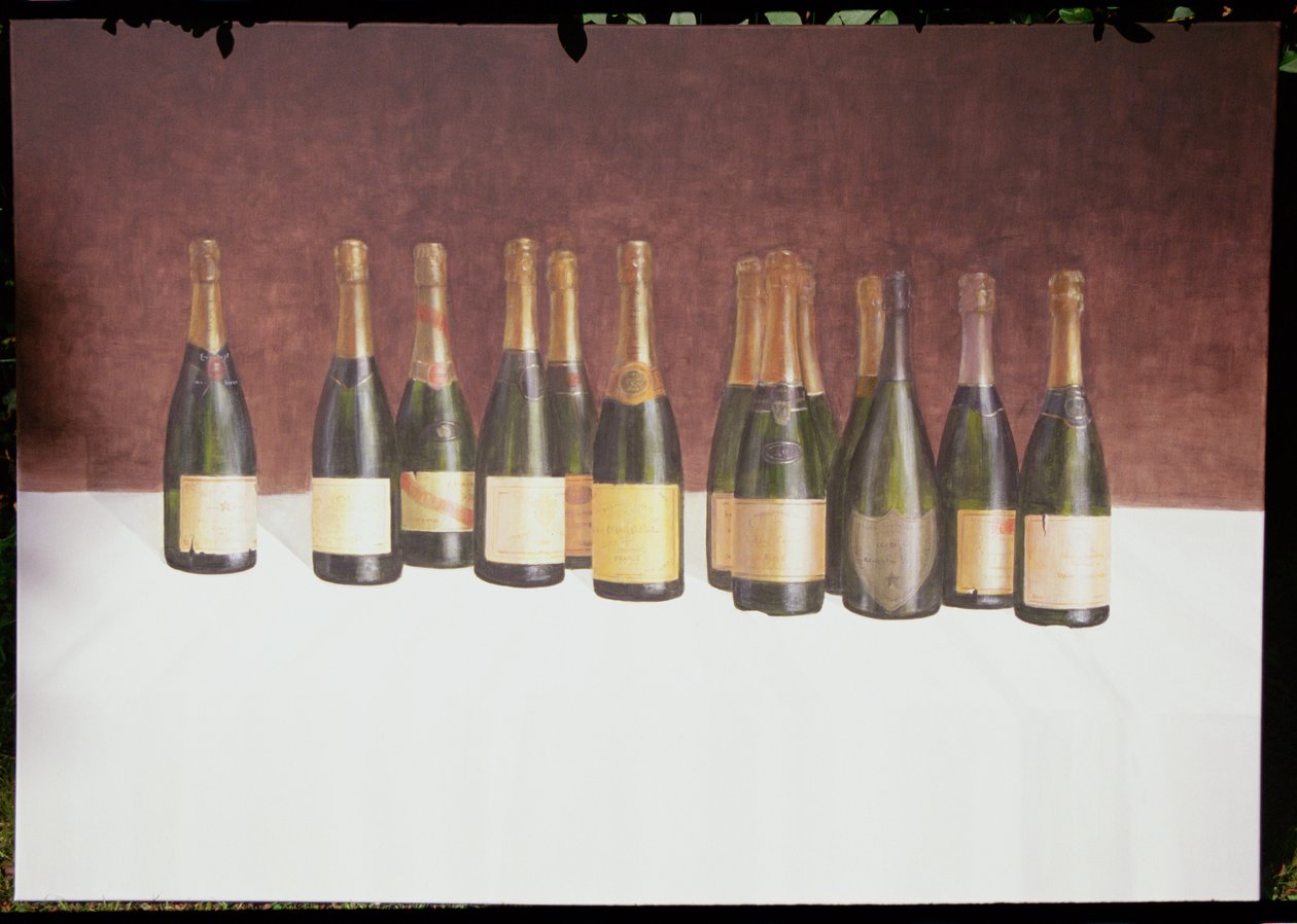 Wijnlandschap, Champagne, 2003 door Lincoln Seligman