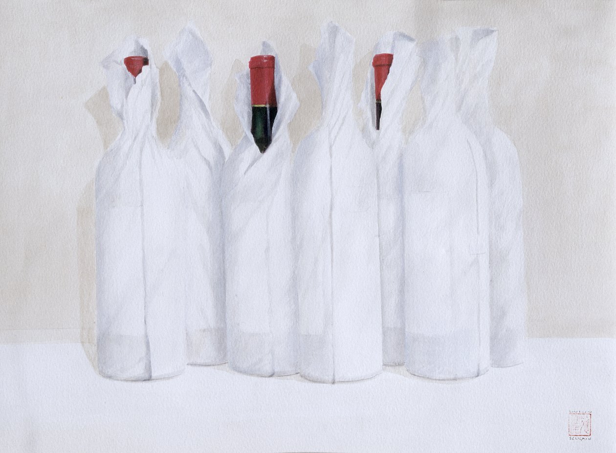 Verpakte flessen 3, 2003 door Lincoln Seligman