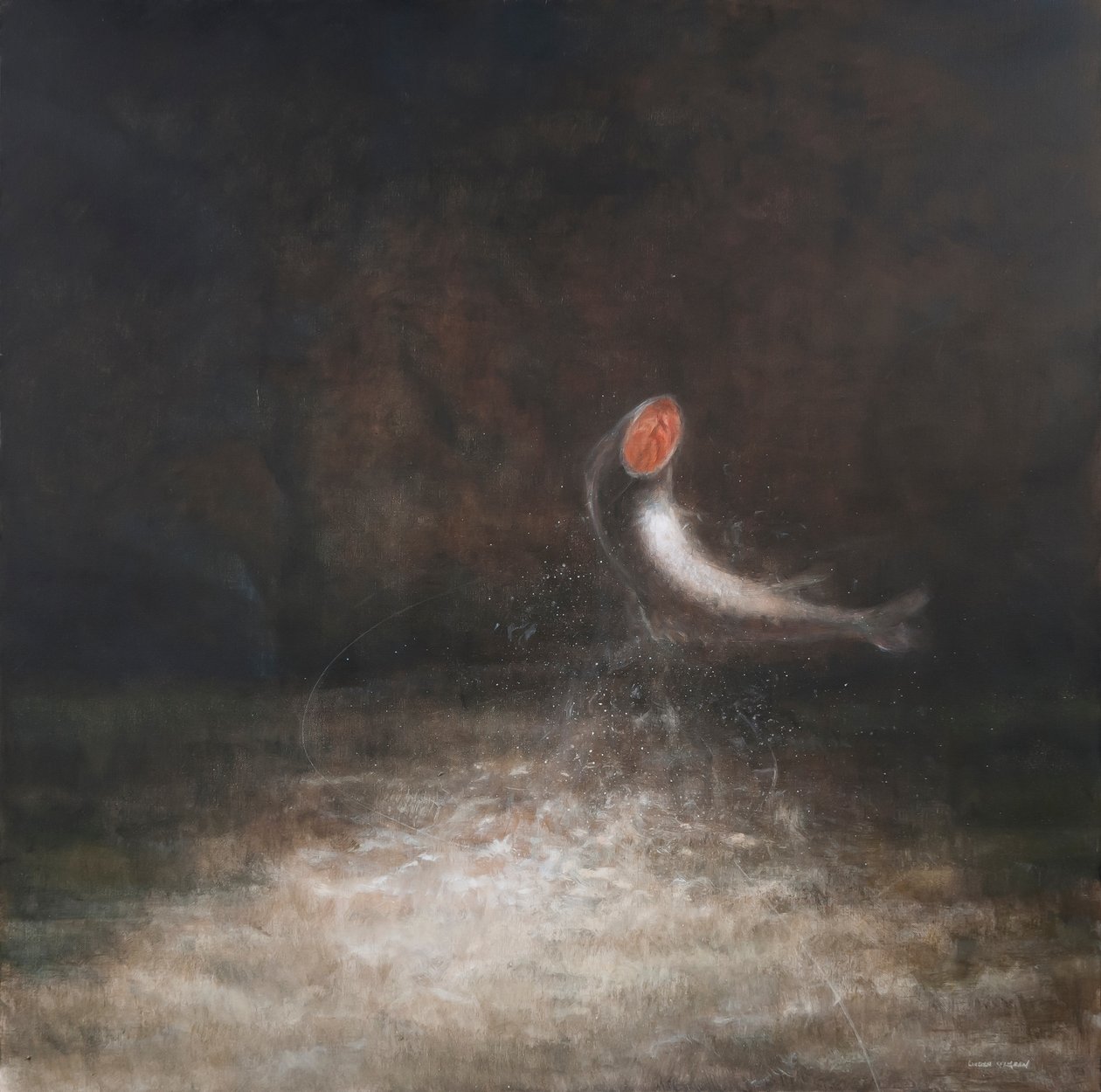 Springende vis, 2012 door Lincoln Seligman
