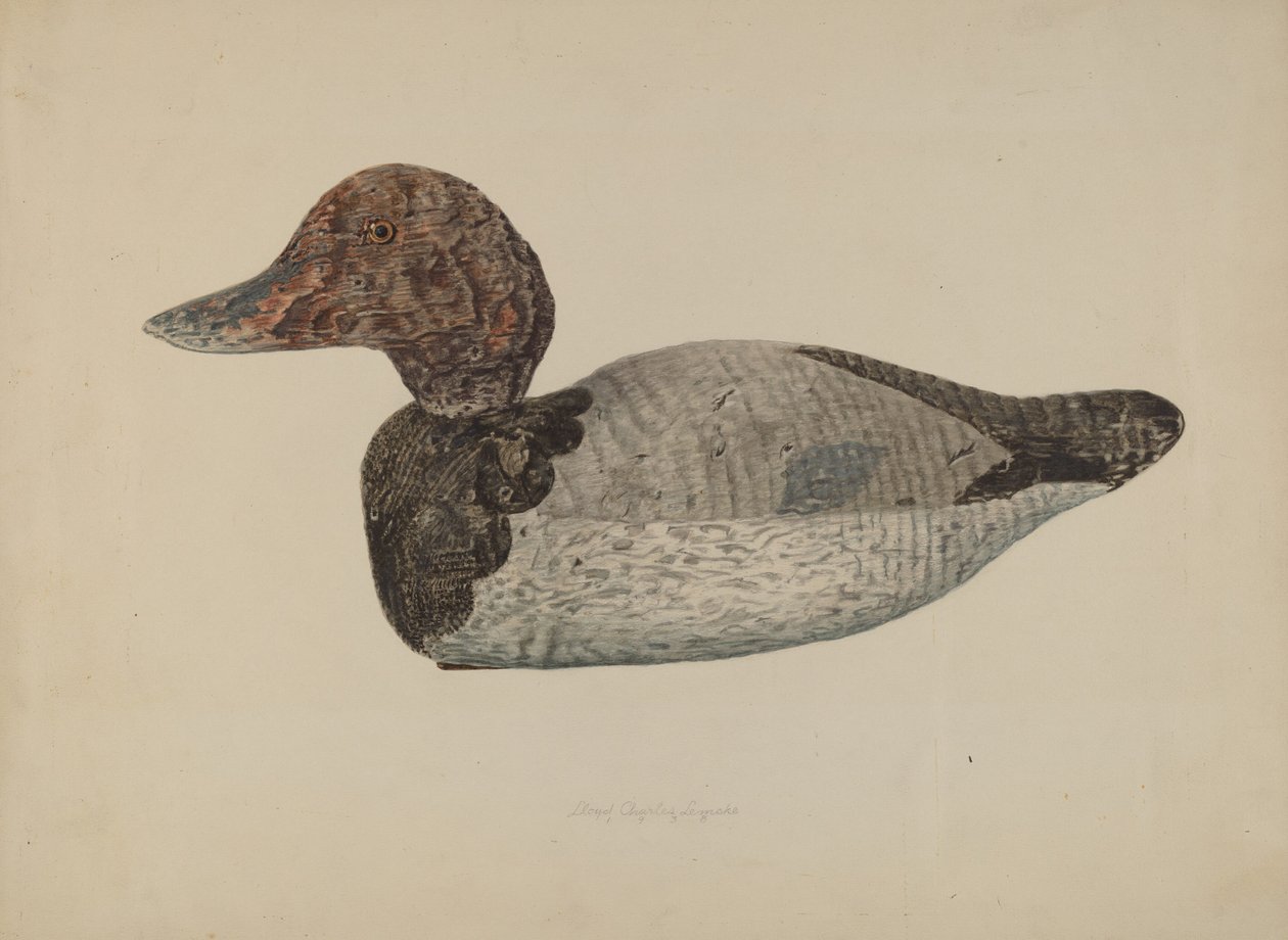 Lokvogel Eend #1, 1938 door Lloyd Charles Lemcke