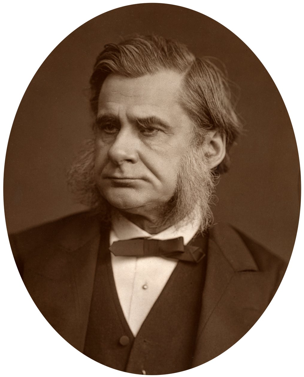 Professor Thomas Henry Huxley, 1880 door Lock and Whitfield