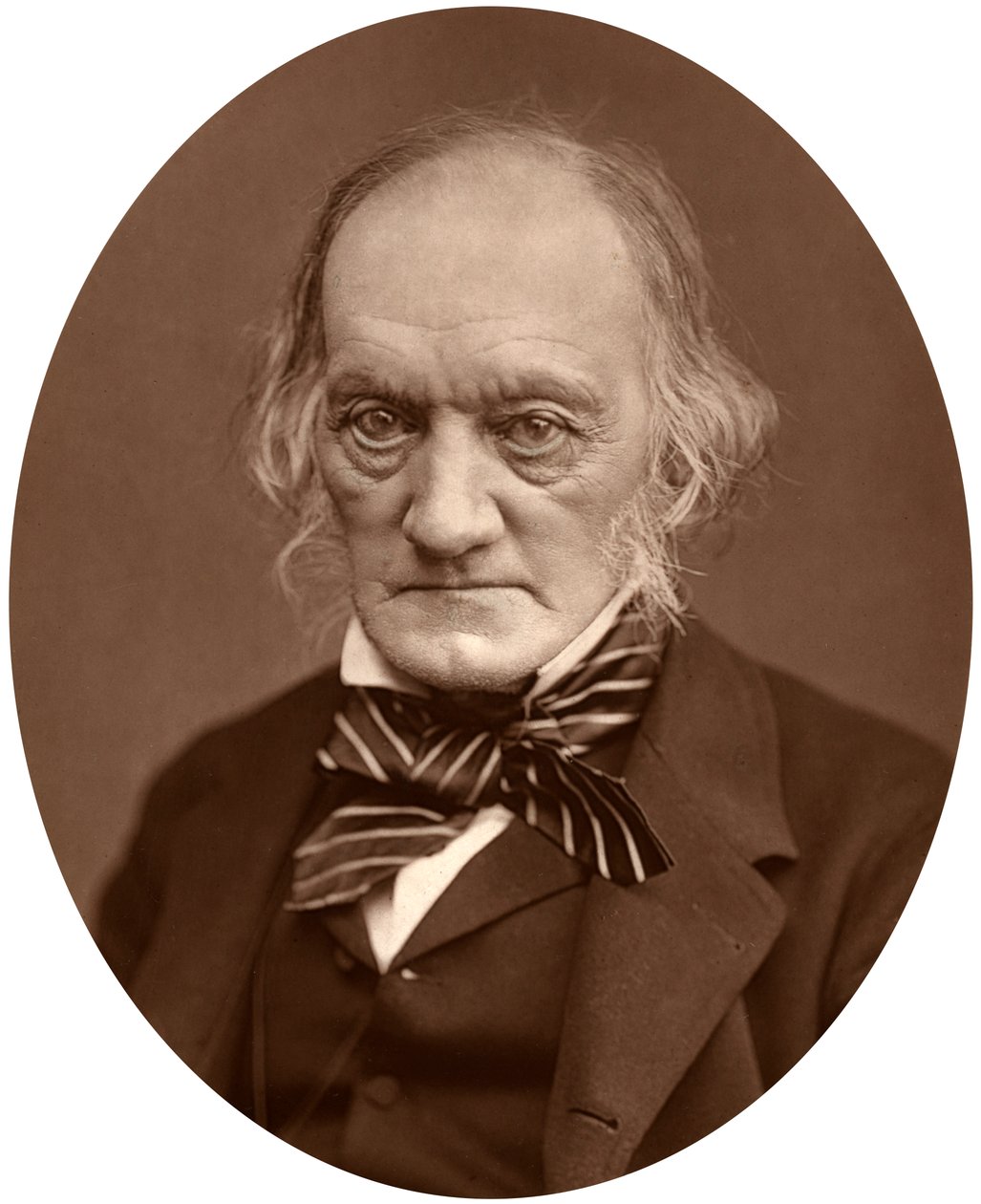 Richard Owen, 1878 door Lock and Whitfield