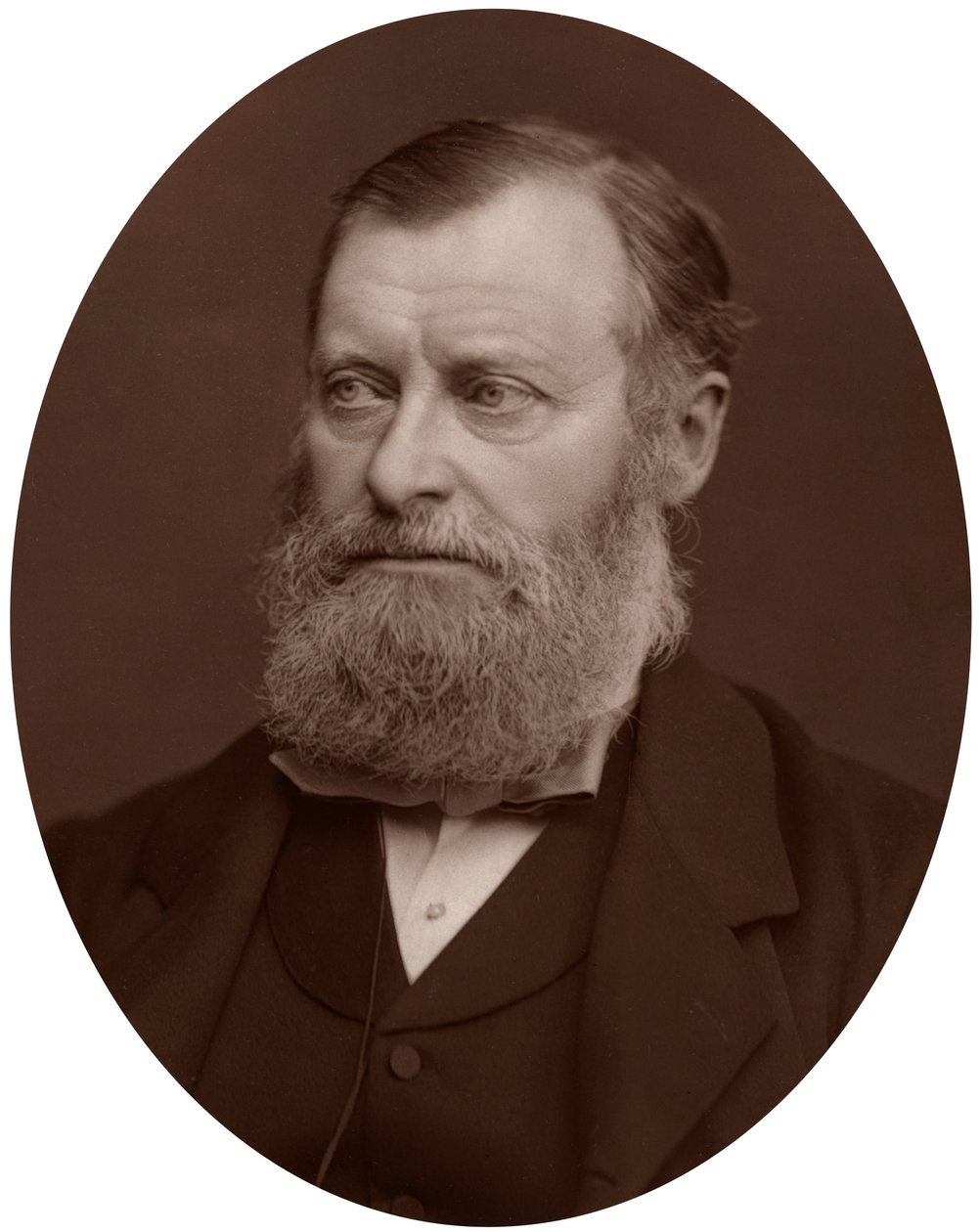 William Edward Forster MP, 1878 door Lock and Whitfield