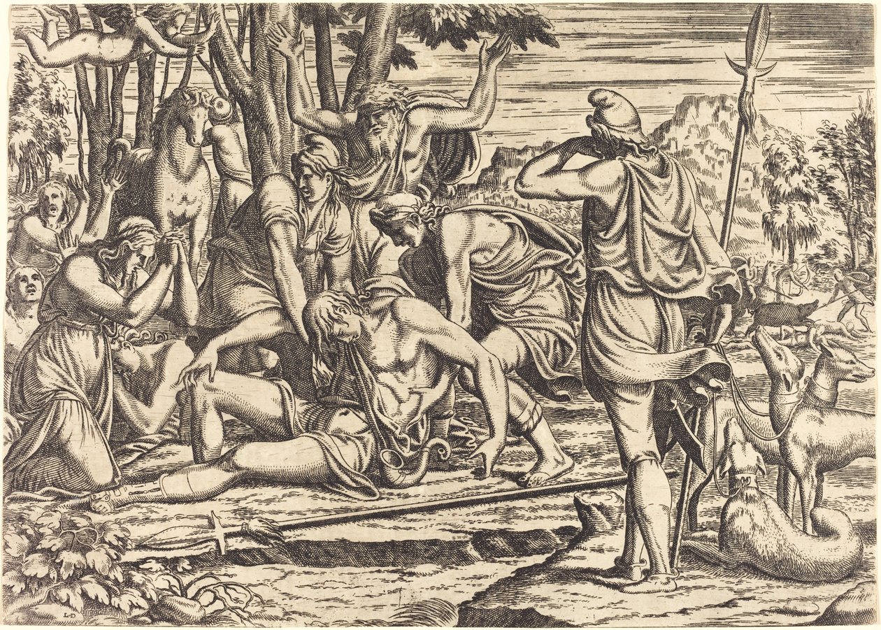 De Dood van Adonis door Léon Davent after Luca Penni