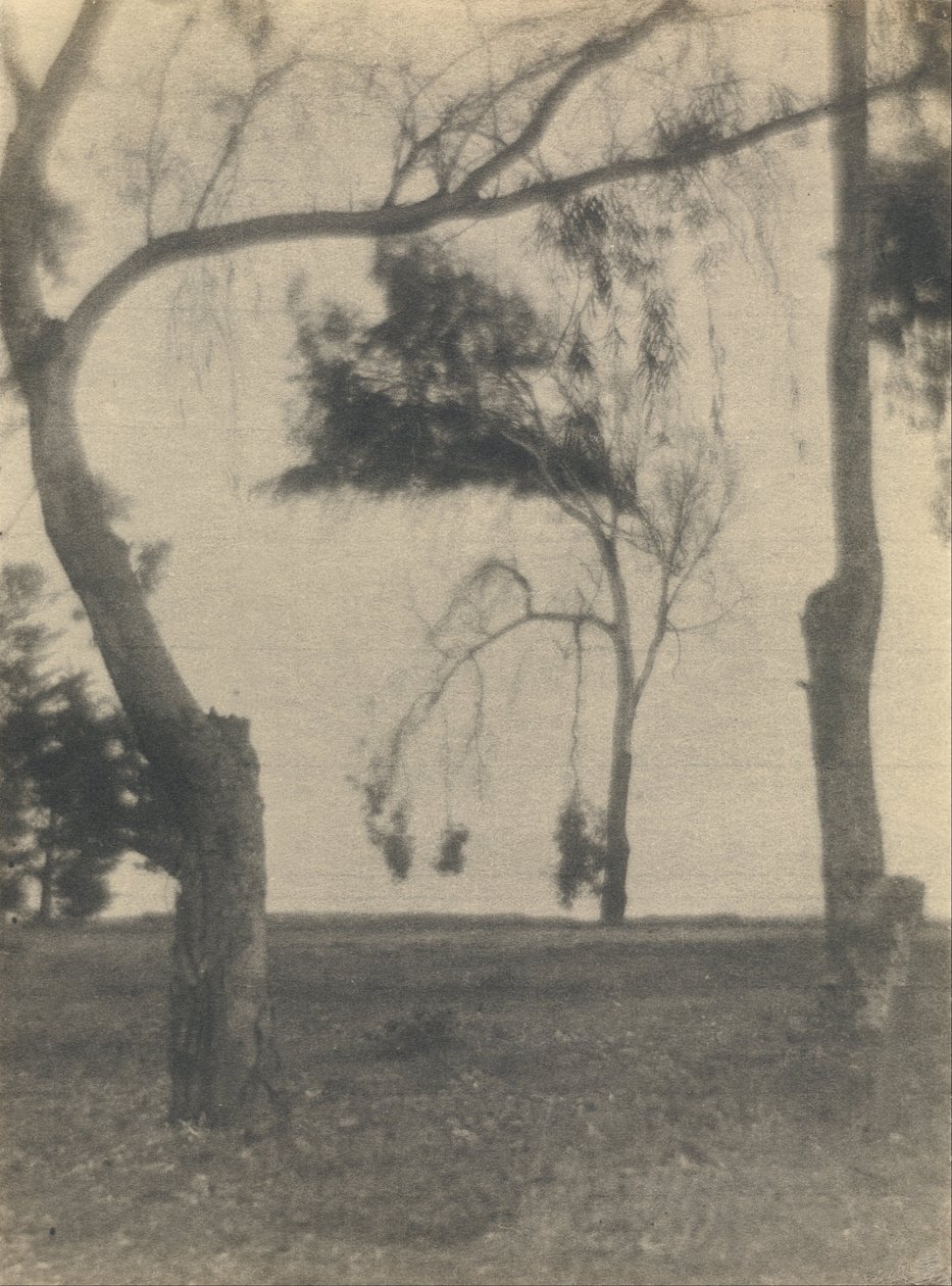 Landschap met bomen door Louis Fleckenstein