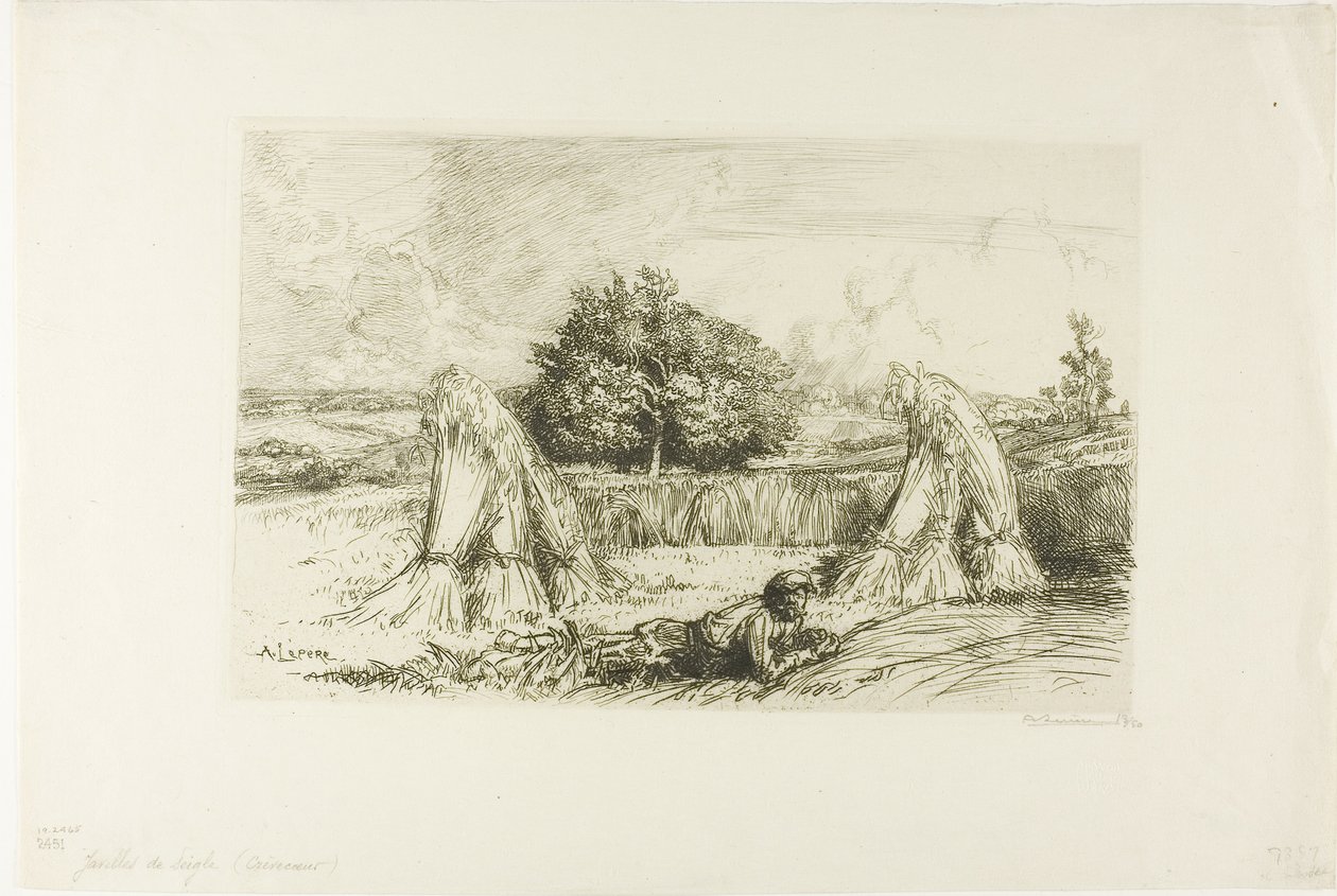 Bladeren van rogge door Louis Auguste Lepère