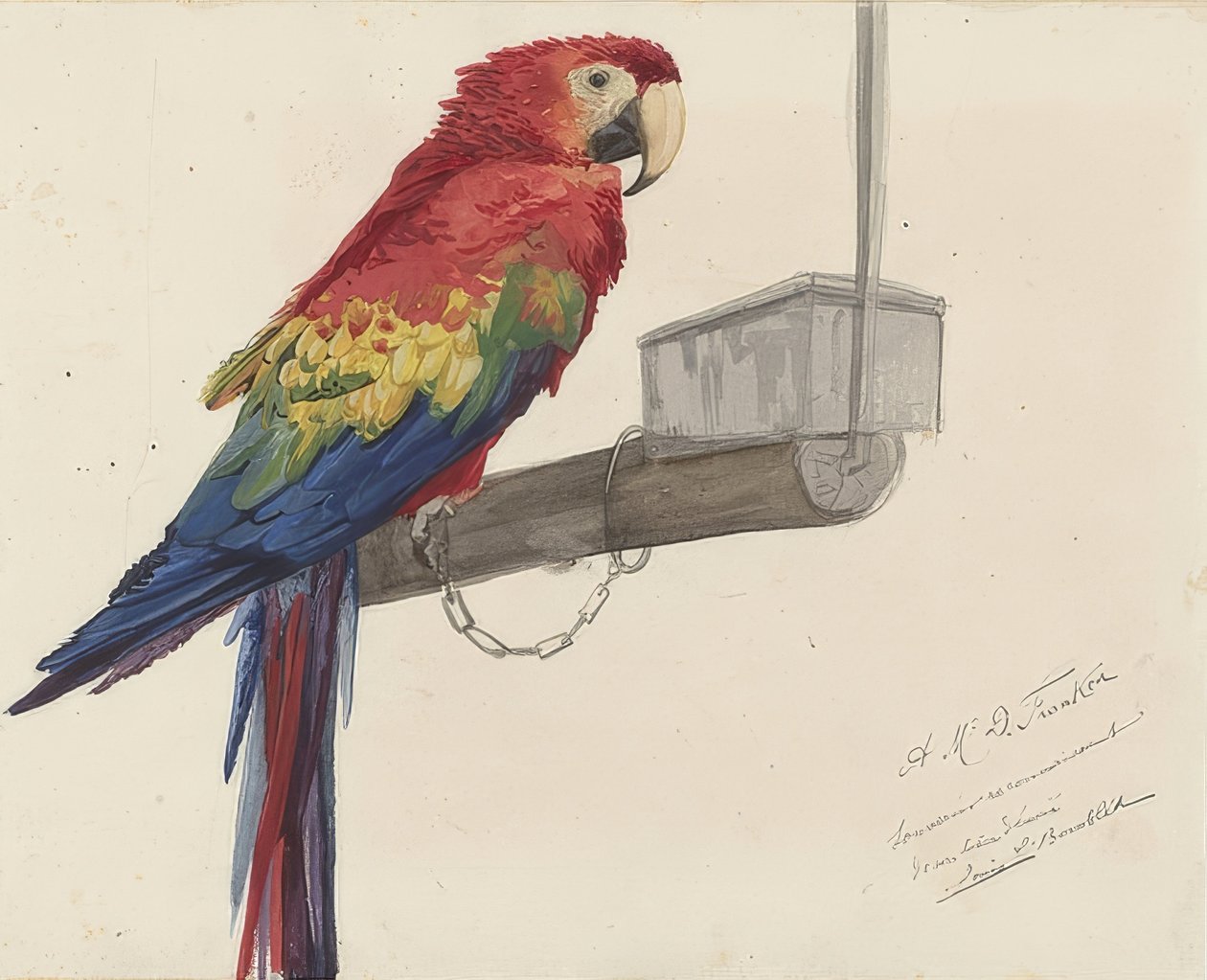 Papegaai door Louis Charles Bombled