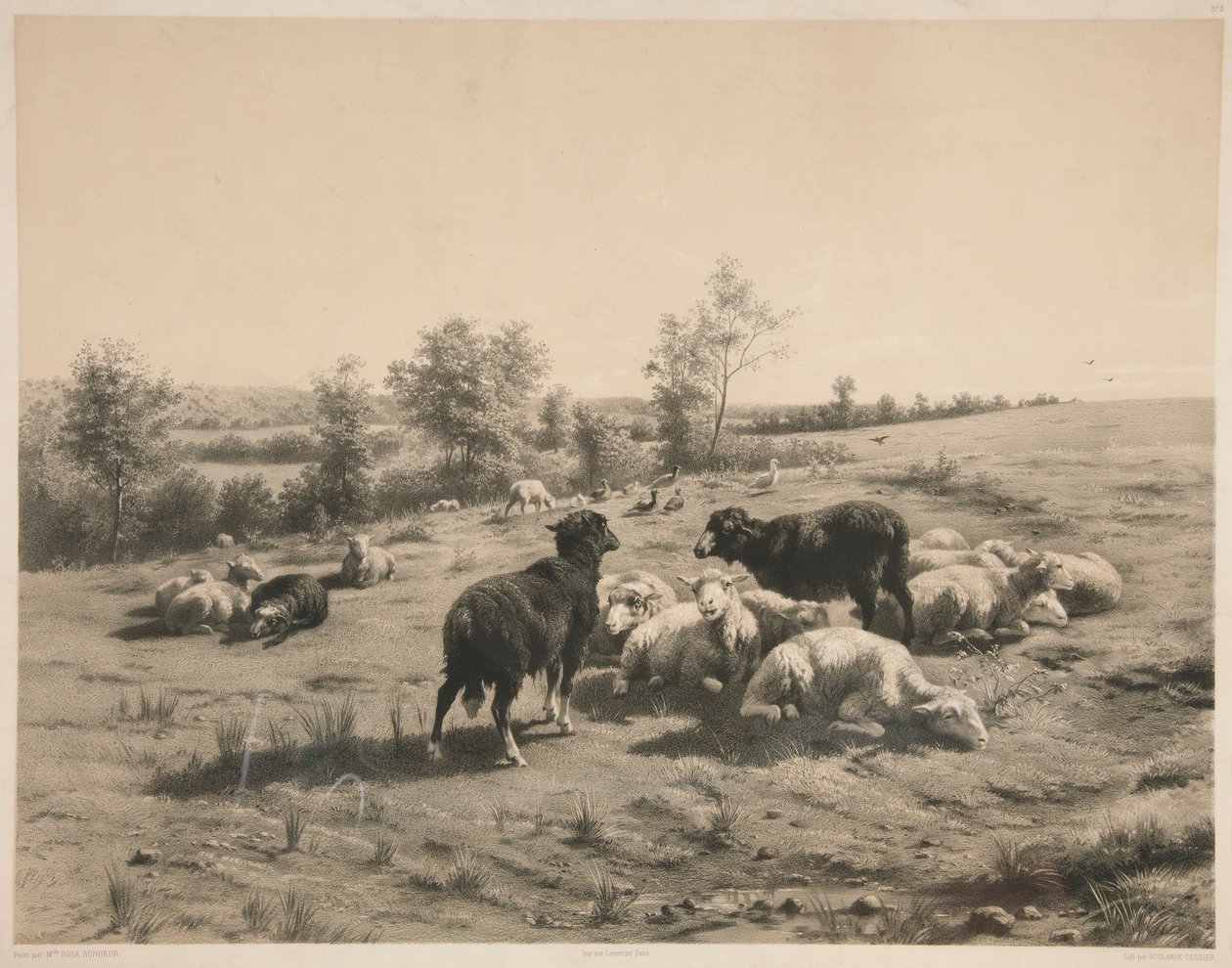 De schapen door Louis Emmanuel Soulange Teissier