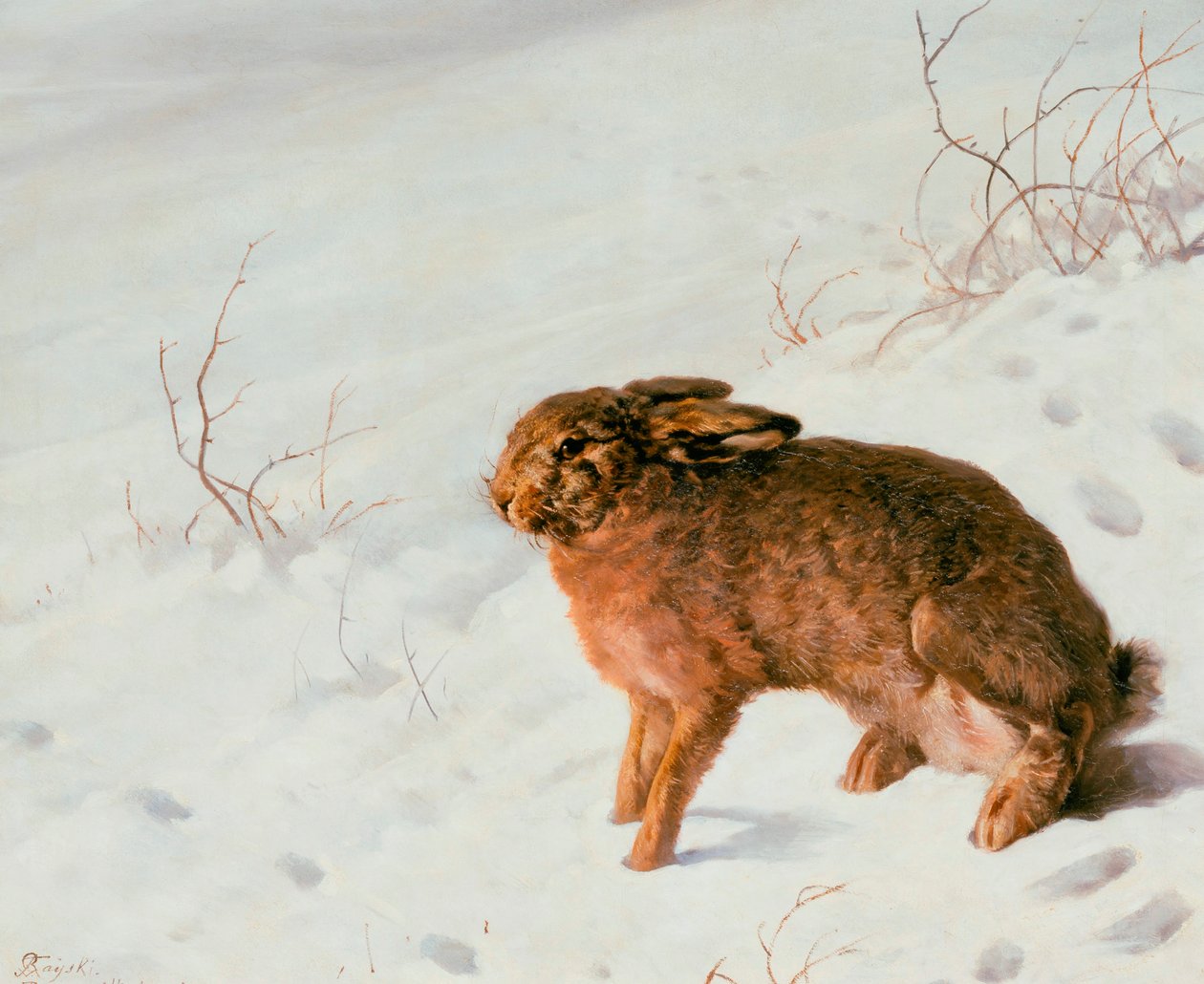 Haas in de sneeuw, 1875 door Louis Ferdinand von Rayski