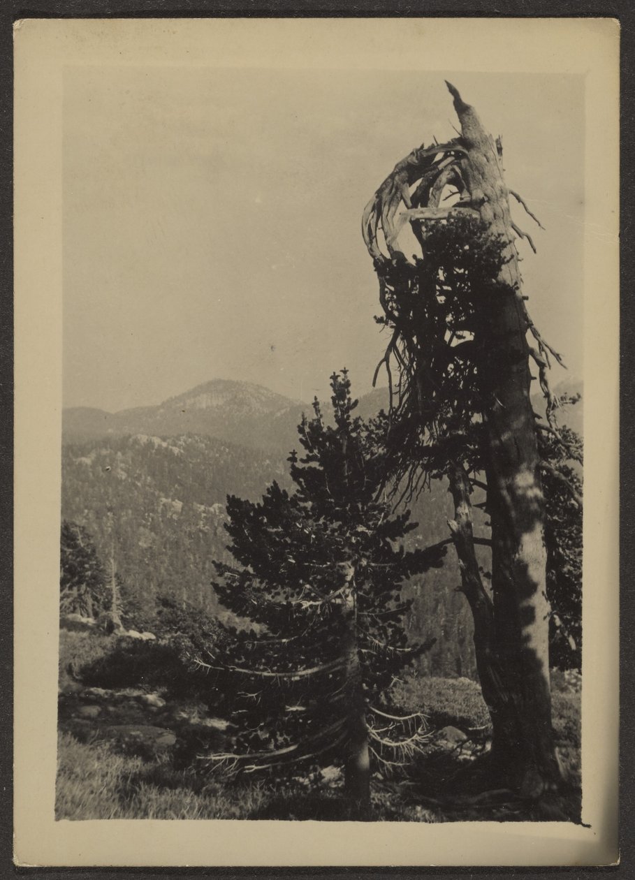 [Abe Lincoln Peak]. door Louis Fleckenstein