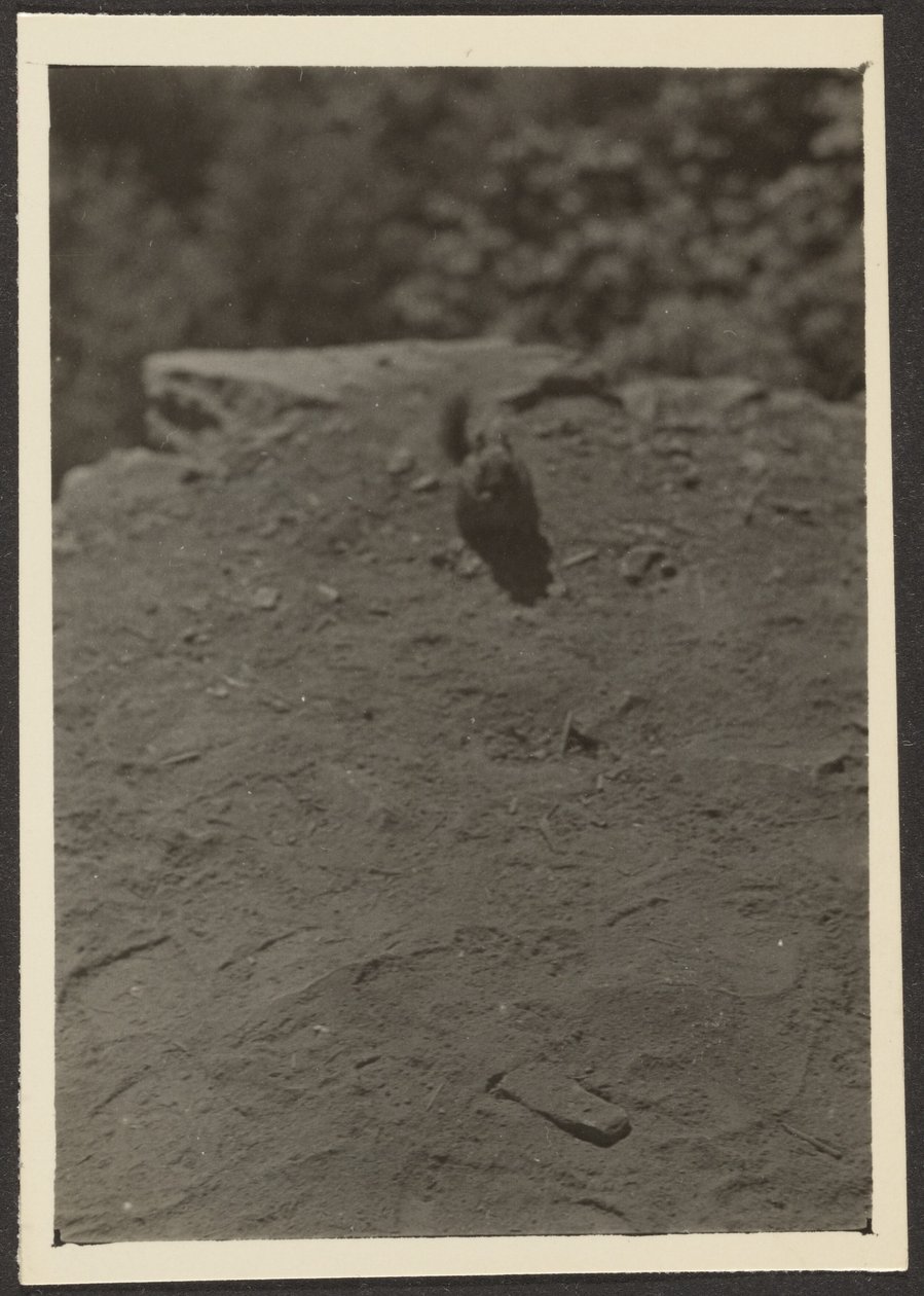 [Chipmonk op Pad]. door Louis Fleckenstein