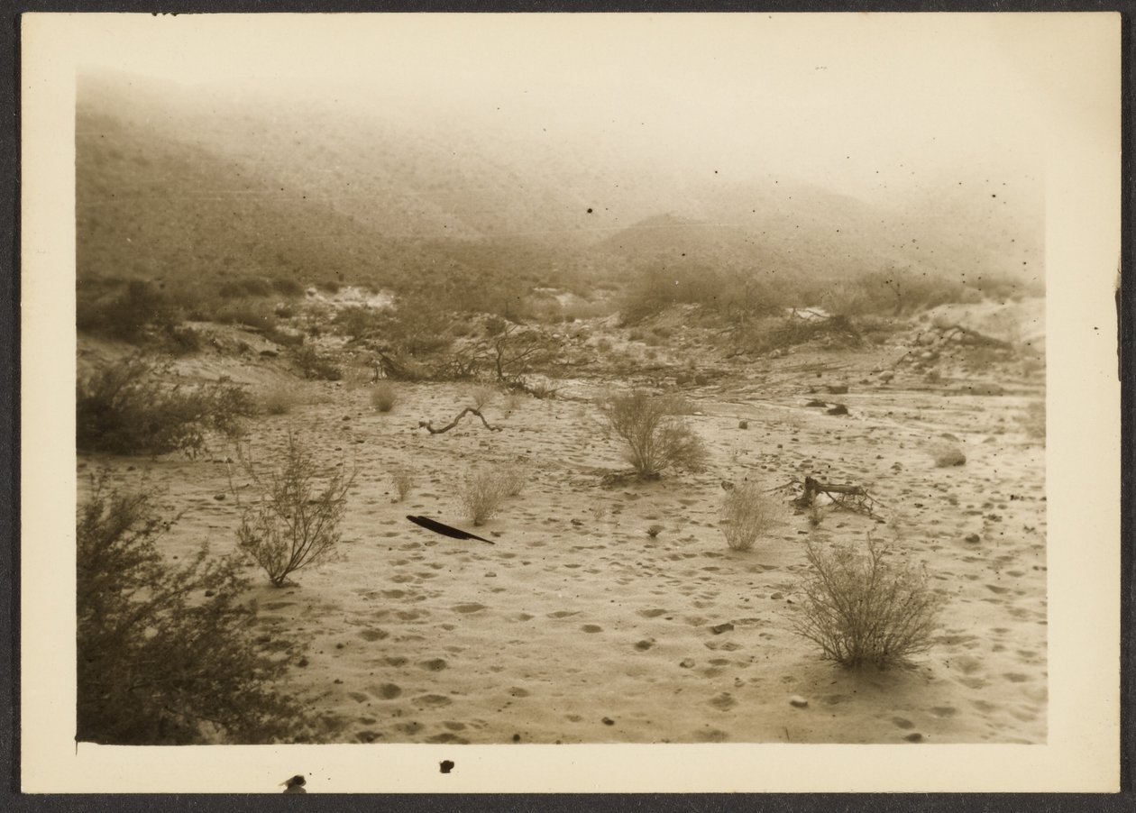 [Coyote Canyon] door Louis Fleckenstein