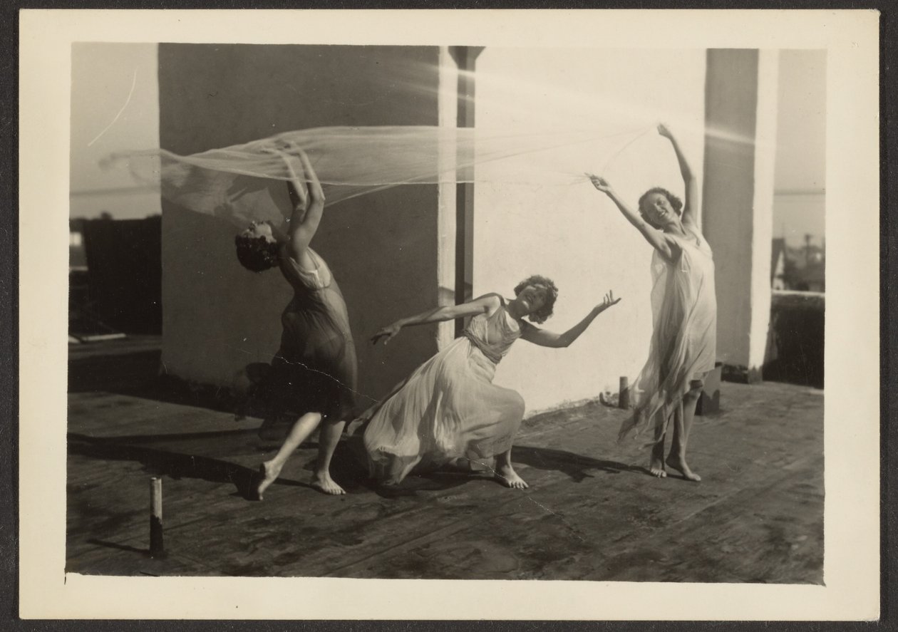 [Dansers op het dak]. door Louis Fleckenstein