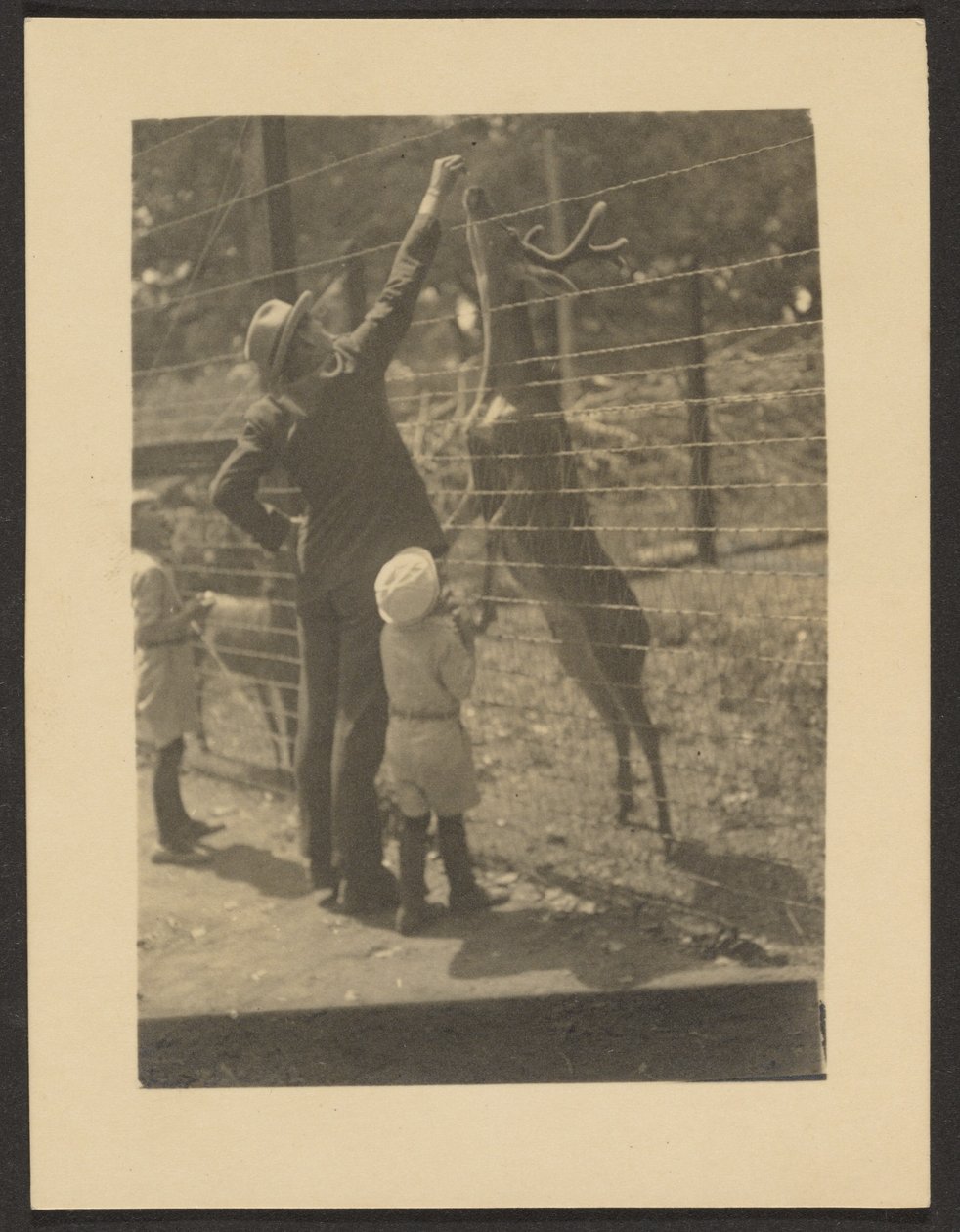 [Herten voeren]. door Louis Fleckenstein