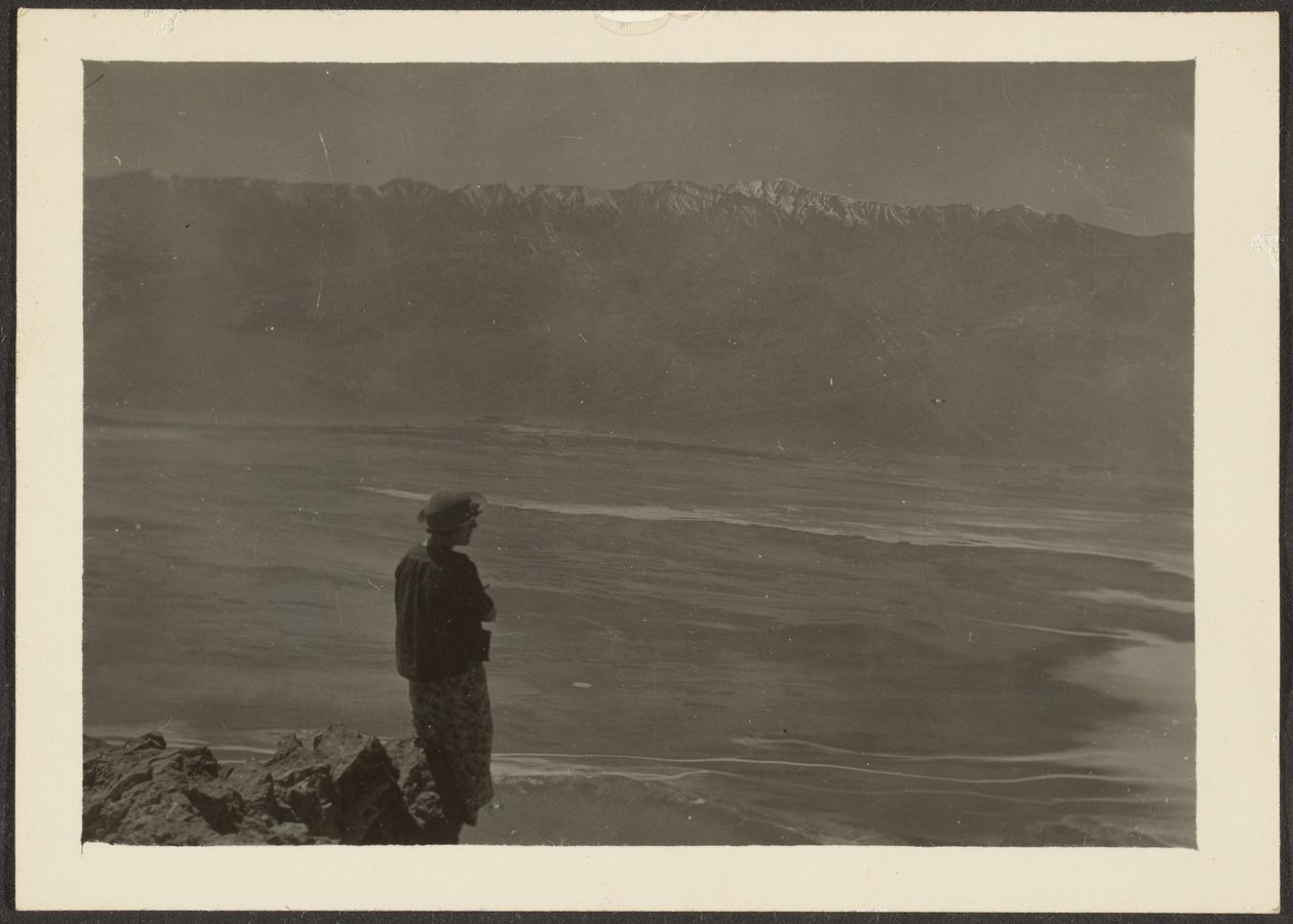 [Figure Overlooking Coast]. door Louis Fleckenstein