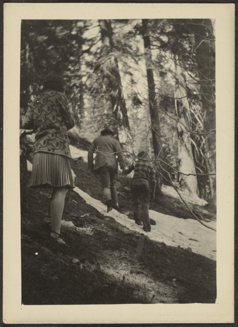 [Figures in the Woods]. door Louis Fleckenstein