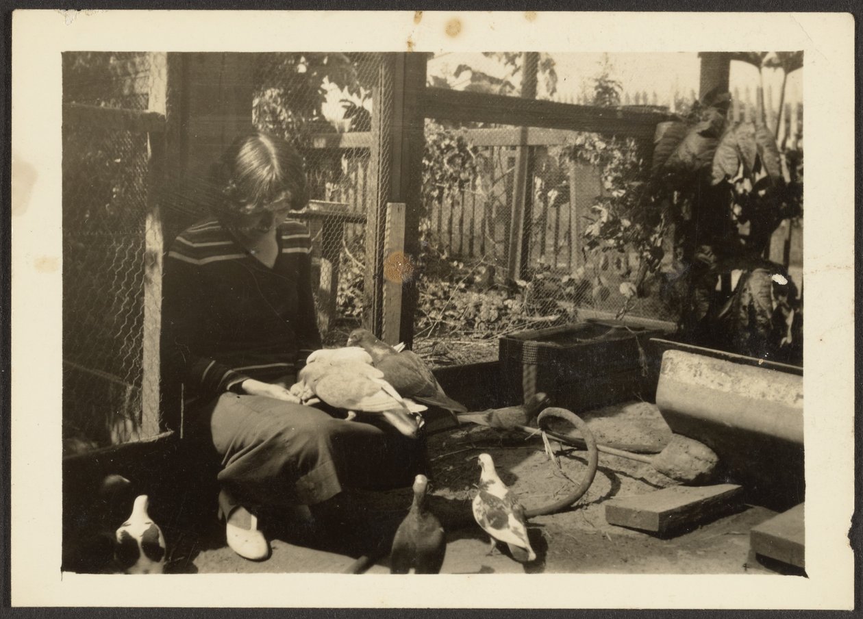 [Florence met Duiven]. door Louis Fleckenstein