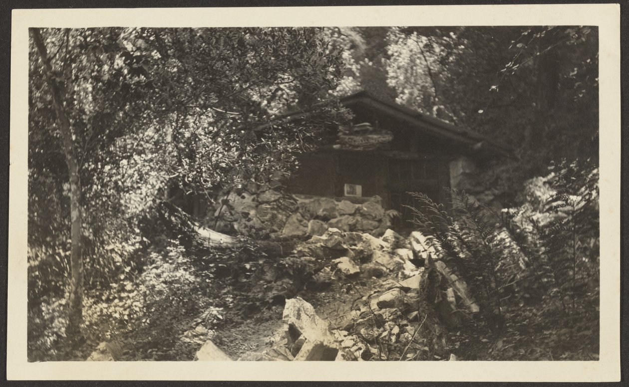 [Forest Lodge]. door Louis Fleckenstein