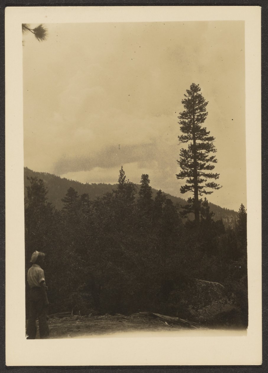 [Idyllwild] door Louis Fleckenstein