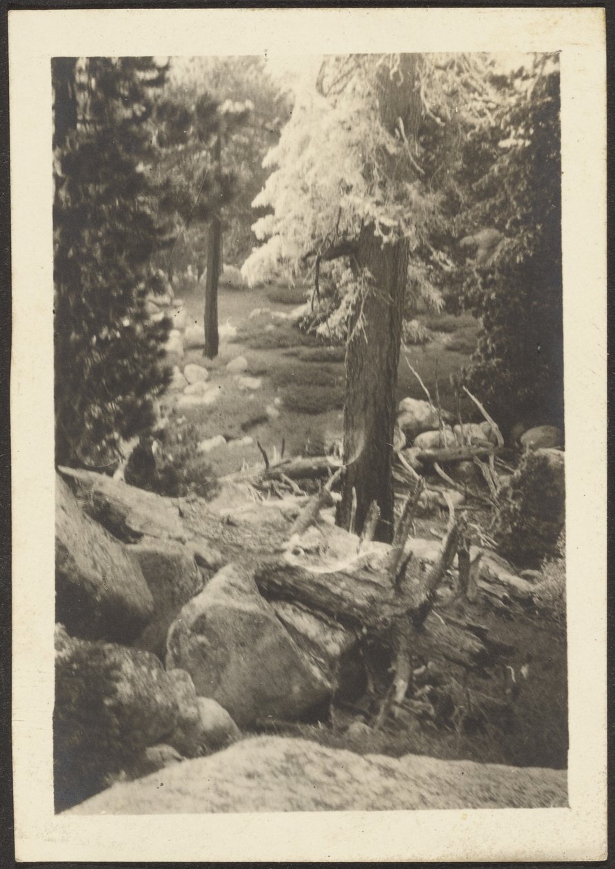 [Landschap] door Louis Fleckenstein