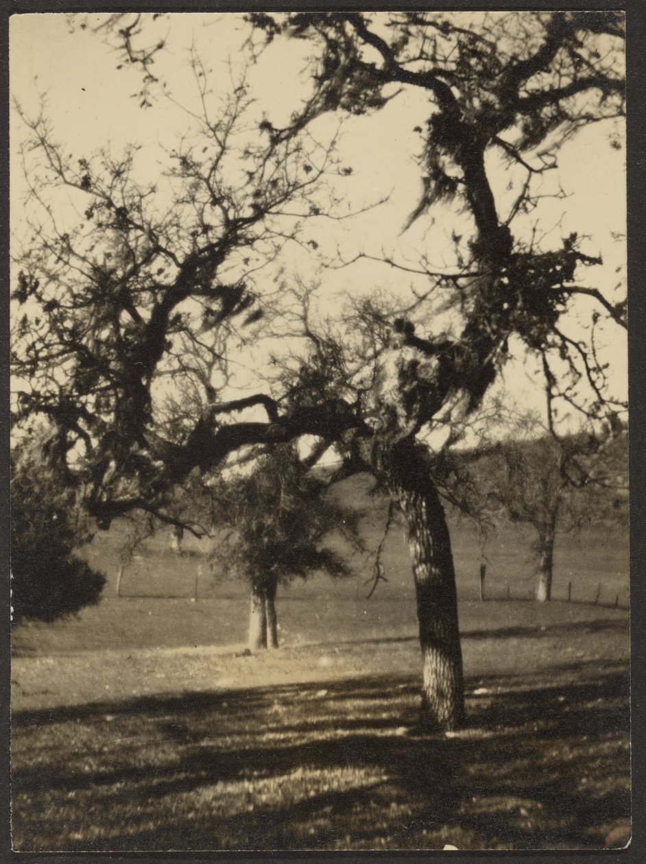 [Landschap] door Louis Fleckenstein