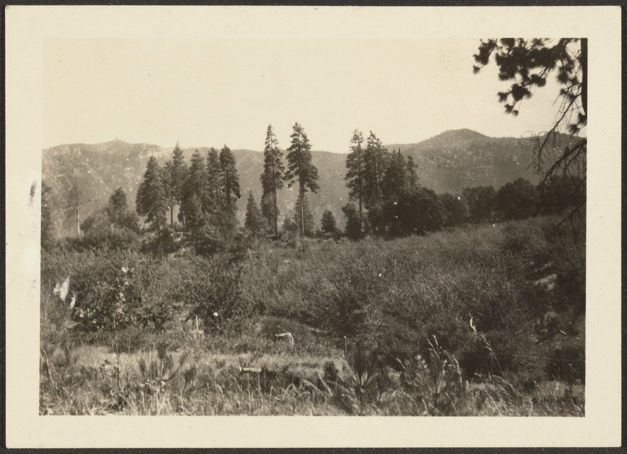 [Landschap] door Louis Fleckenstein