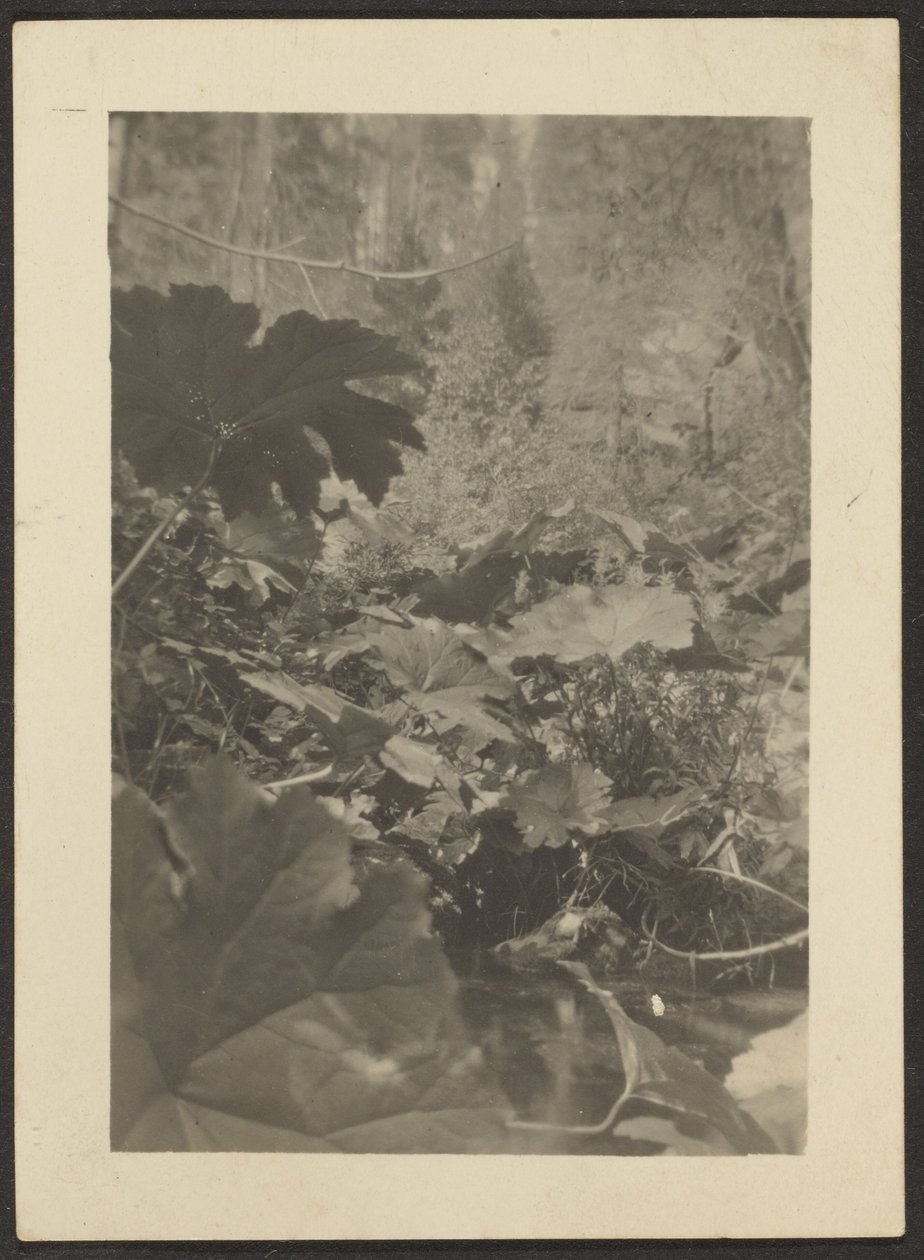 [Landschap] door Louis Fleckenstein