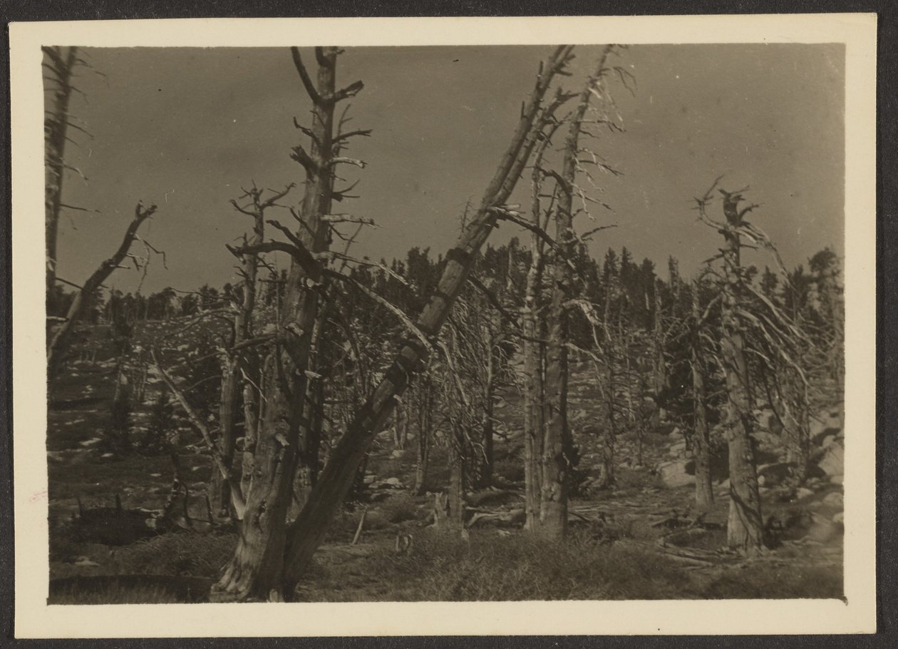 [Landschap] door Louis Fleckenstein