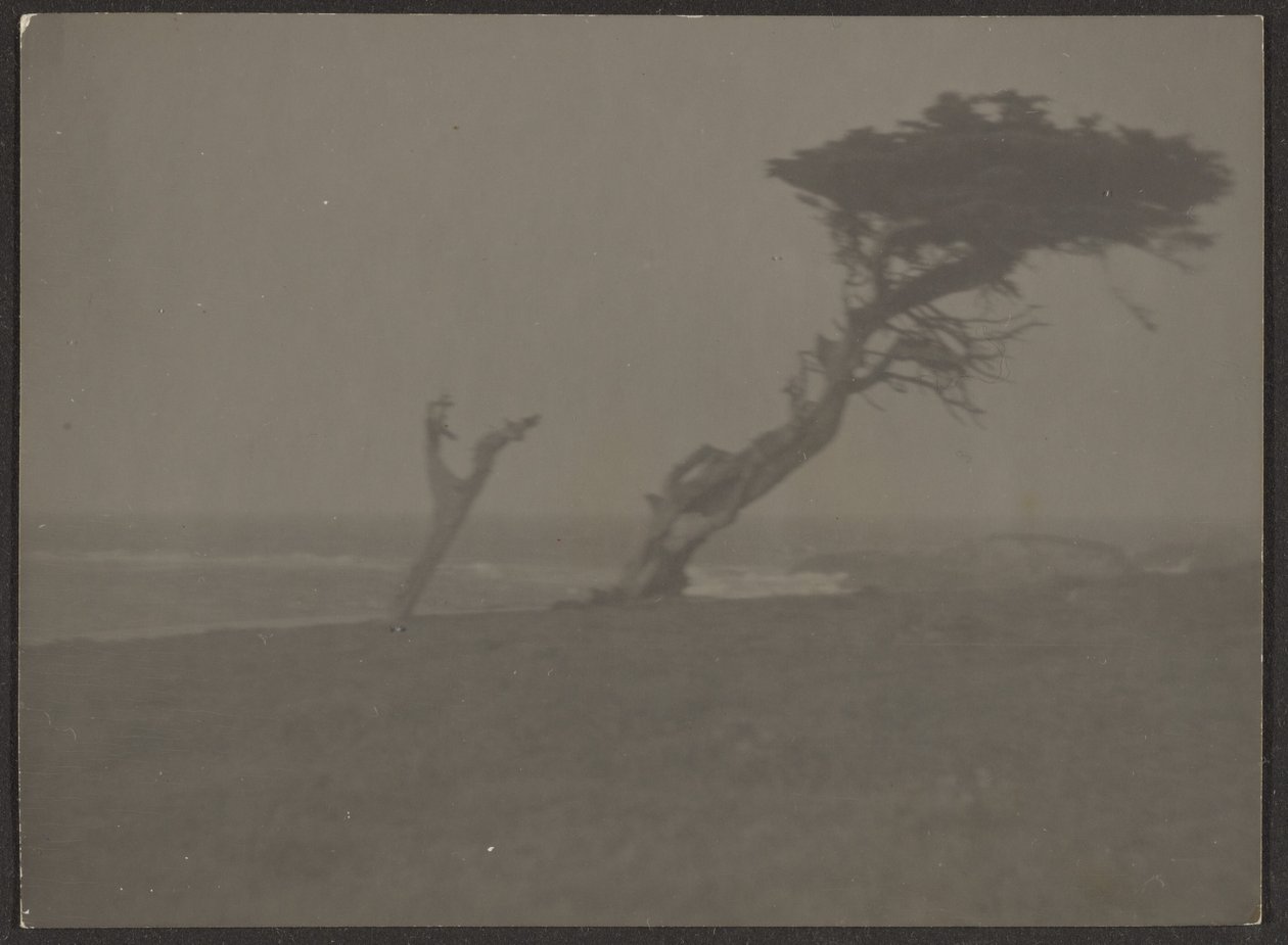 [Landschap] door Louis Fleckenstein