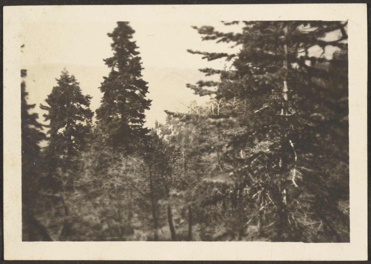 [Landschap] door Louis Fleckenstein