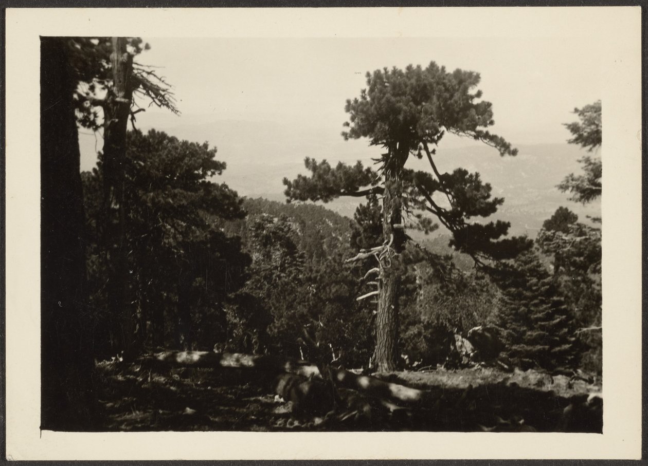 [Landschap] door Louis Fleckenstein
