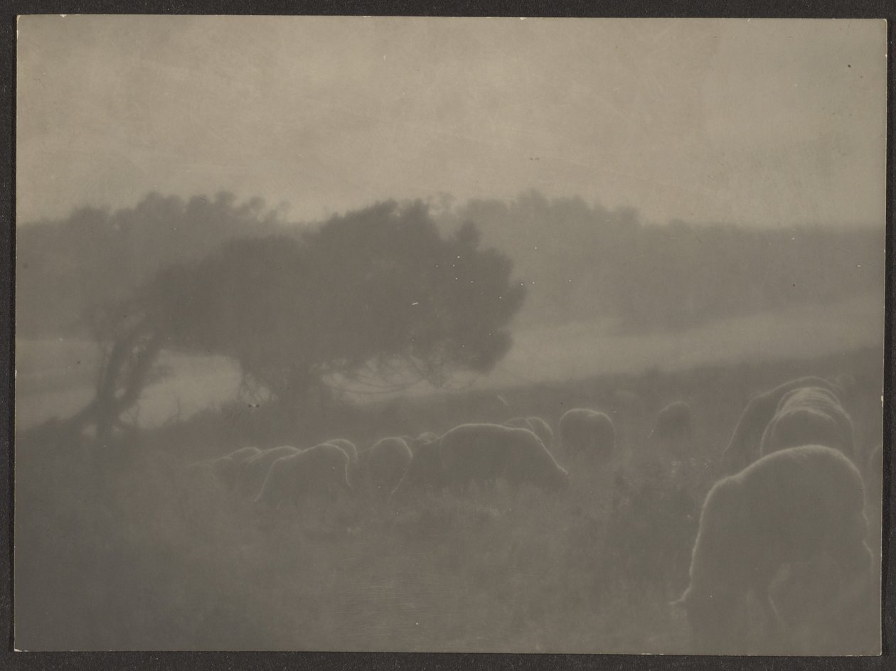 [Landschap met schapen] door Louis Fleckenstein