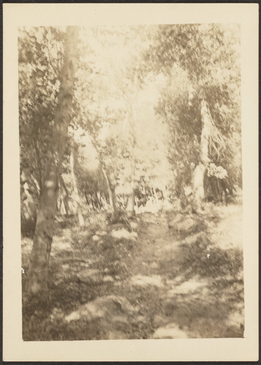 [Landschap met wilde herten]. door Louis Fleckenstein
