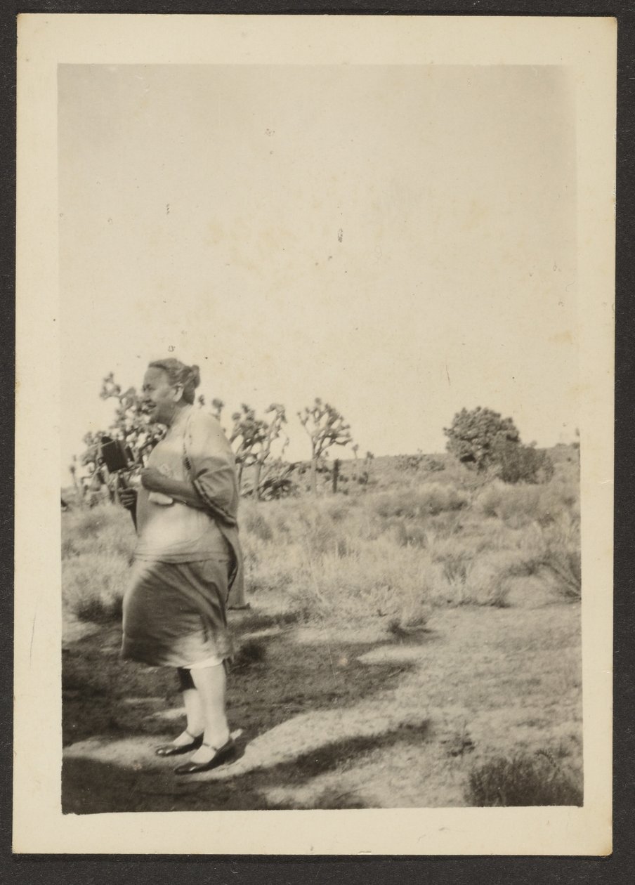 [Mevrouw Fleckenstein in Landschap] door Louis Fleckenstein