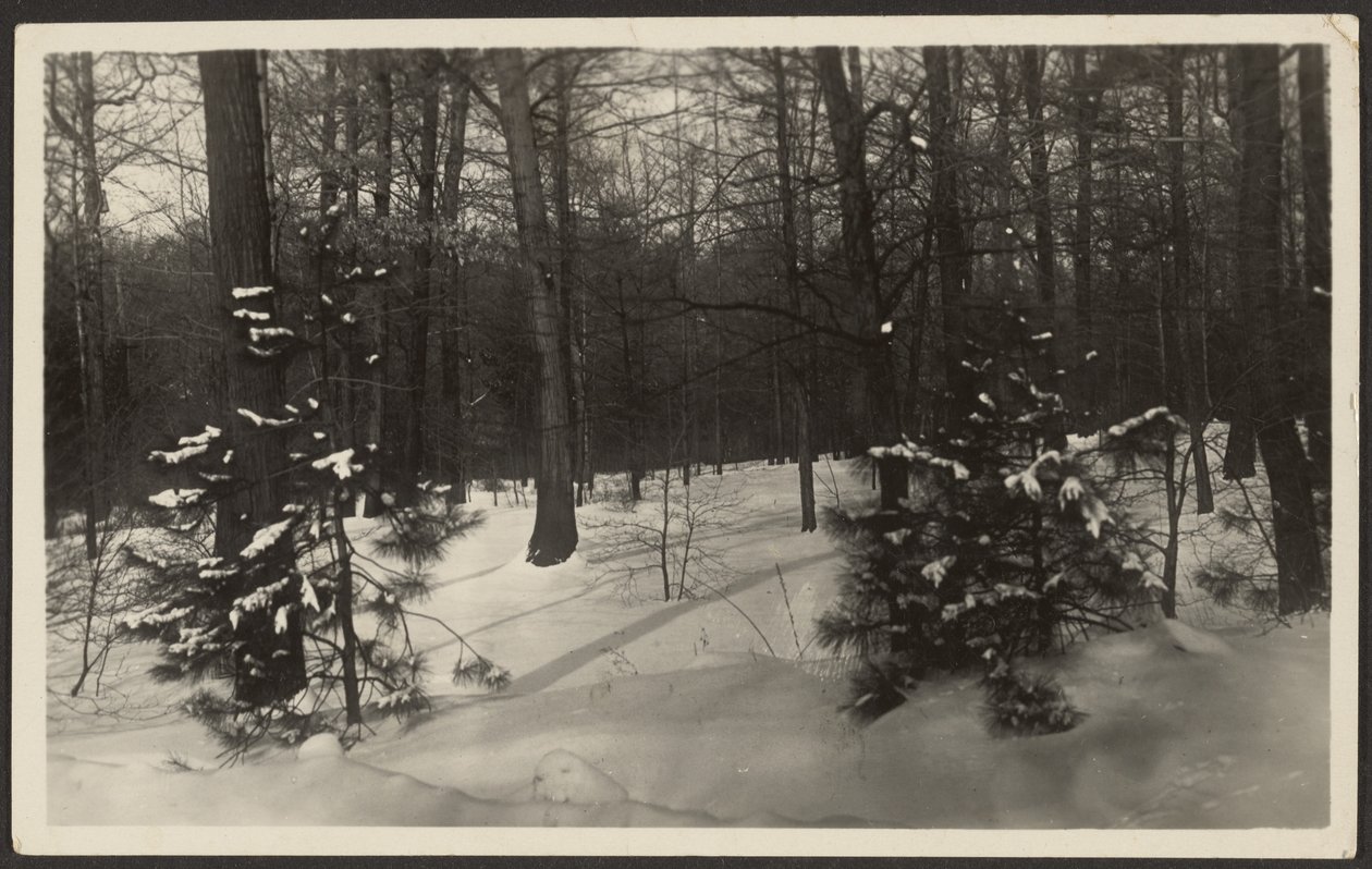 [Besneeuwd Landschap]. door Louis Fleckenstein