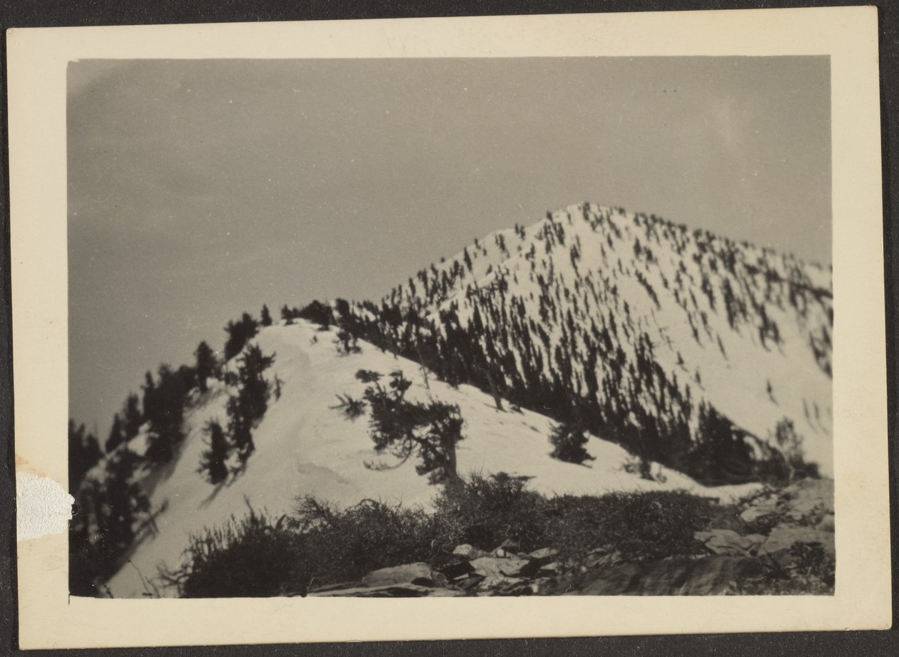 [Telescope Peak]. door Louis Fleckenstein