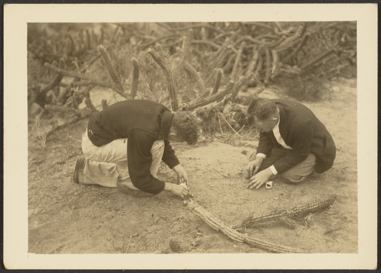 [Two Men and Cactus]. door Louis Fleckenstein