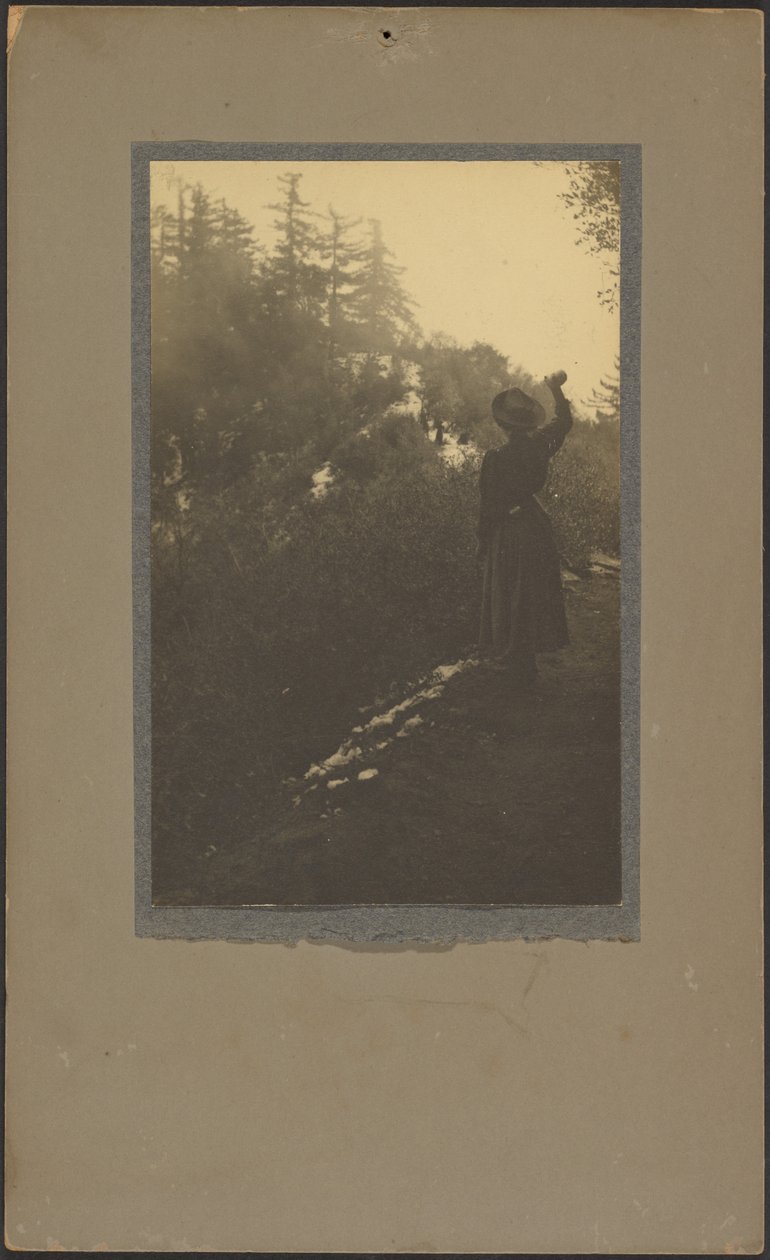 [Vrouw zwaait in het bos]. door Louis Fleckenstein