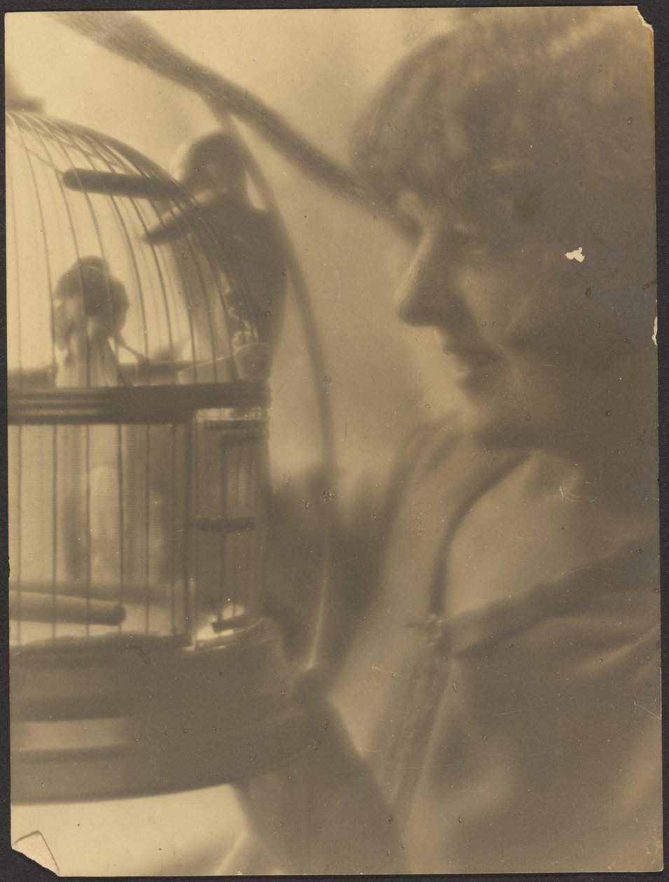 [Vrouw met vogelkooi]. door Louis Fleckenstein