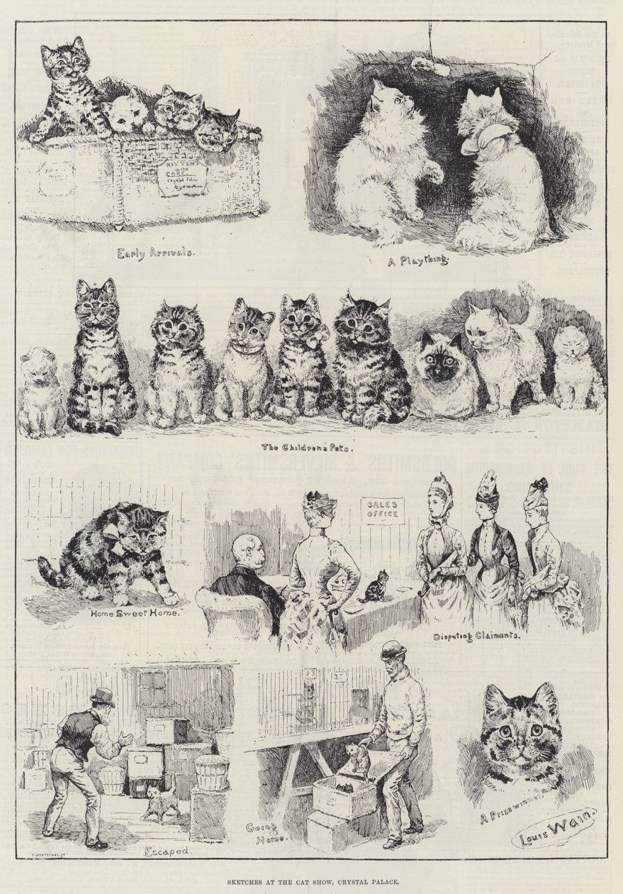 Schetsen op de kattenshow, Crystal Palace door Louis Wain