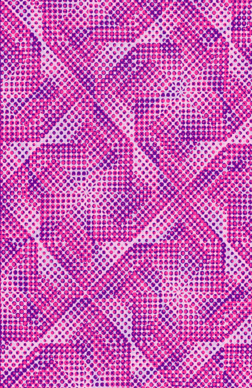 Dotty door Louisa Hereford