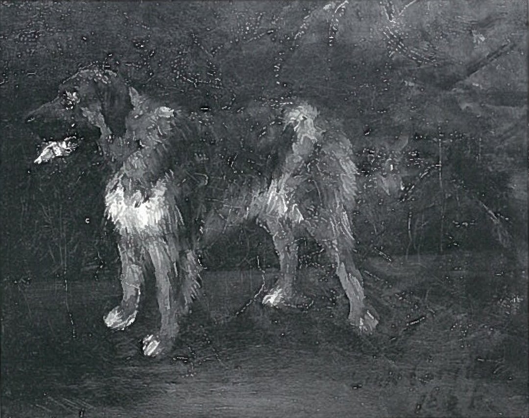 Hondenstudies door Lovis Corinth